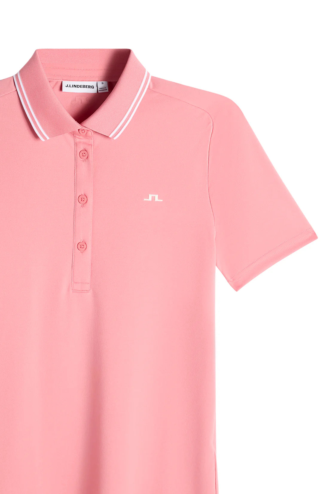 S226 FLAMINGO PLUME