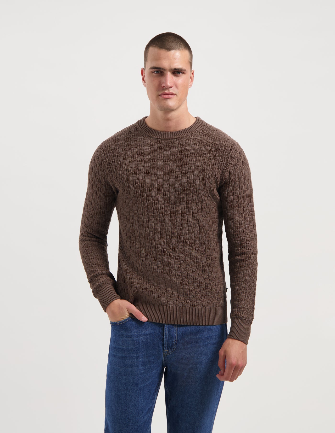 50011 TOASTED ALMOND