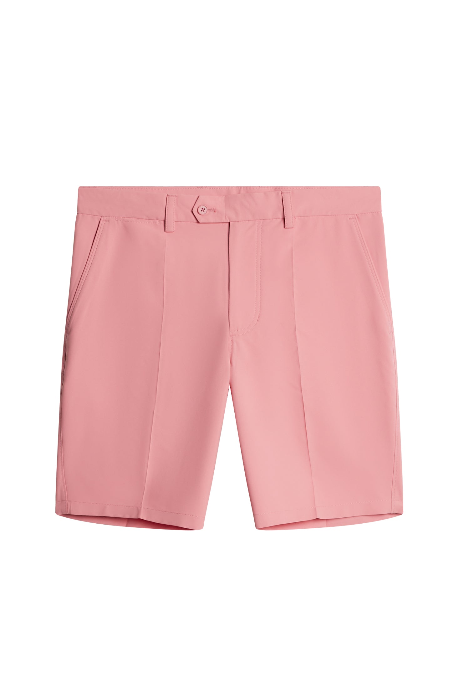 S226 FLAMINGO PLUME