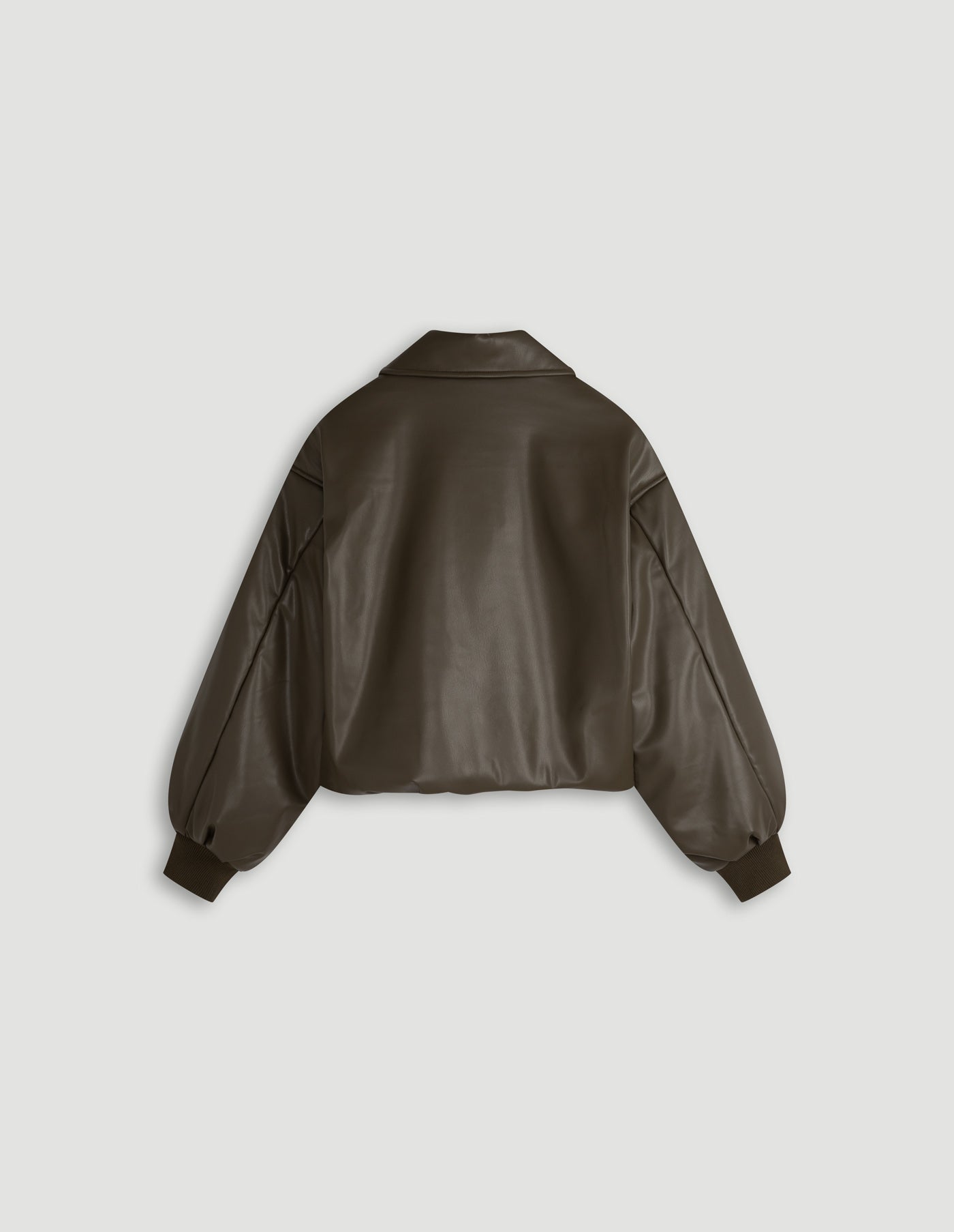 329 OLIVE