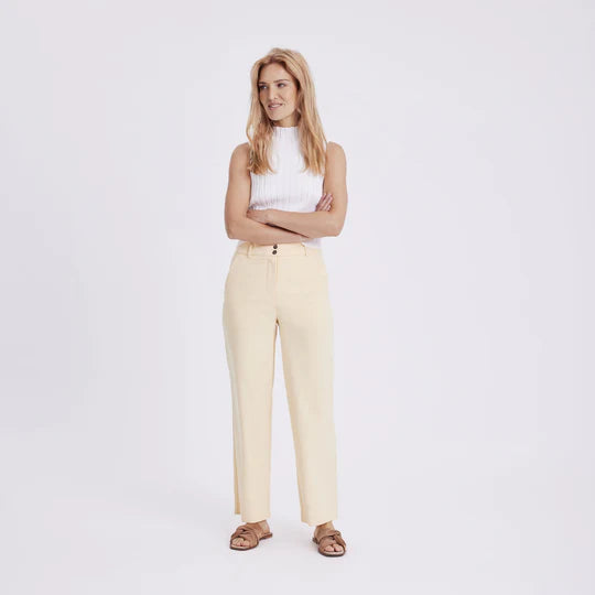 31199 LEMONADE REGULAR
