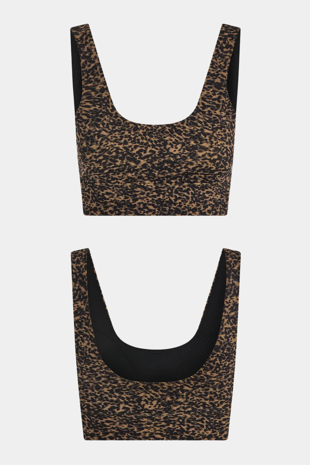 PRAIRIE SAND CHEETAH