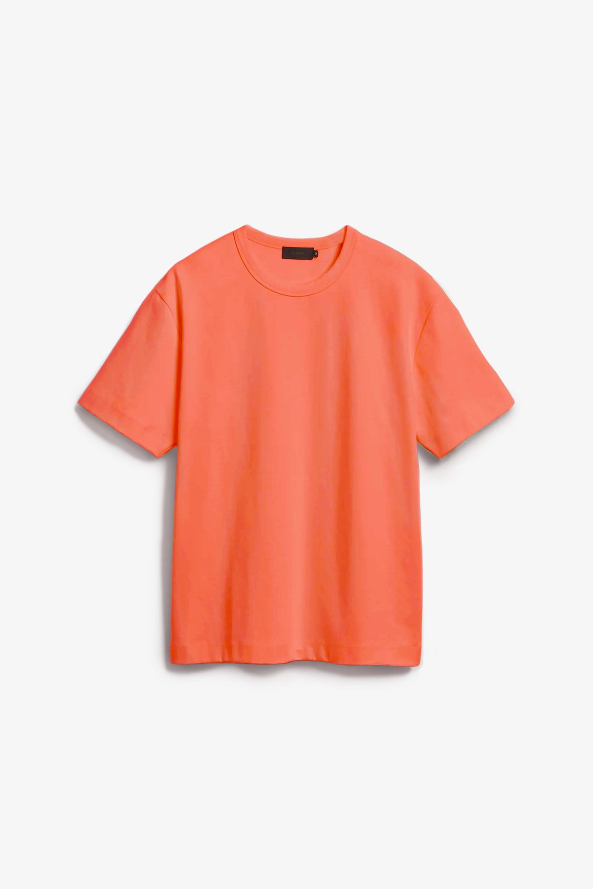 151 CORAL